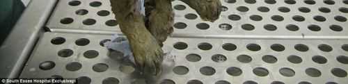 941c6ece40451b75dec135821af9c343175b8fe62182acd9701668aab3f6110b6c7b3cd7219628a7c53fdee694885f5c2c71949f84a37defebe510392e7111d5