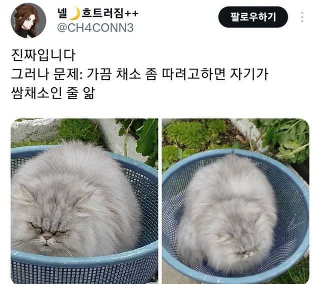 c2cbf03979ba3cccf0abcf718af12f55723388744c7d70de4393b4d36c0ed6da6affcf566e26ddd747065ae3d6abfb3de0f0e7c2453bd576c823f809312d2083